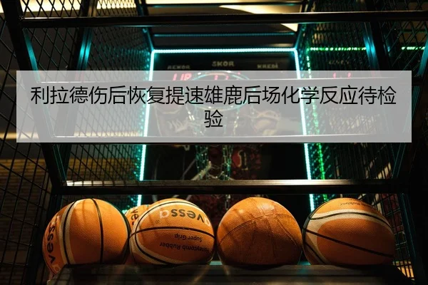 利拉德伤后恢复提速雄鹿后场化学反应待检验