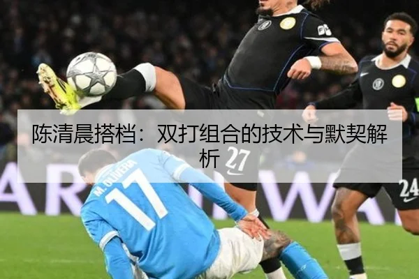陈清晨搭档：双打组合的技术与默契解析